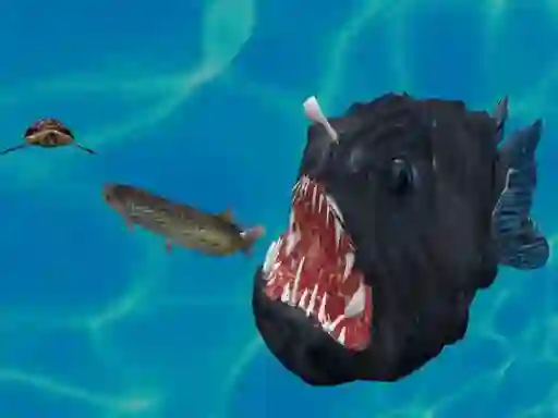Fish 3d