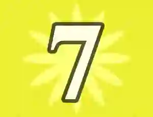 Number 7