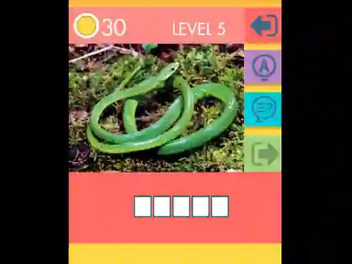 15 Picture Quiz