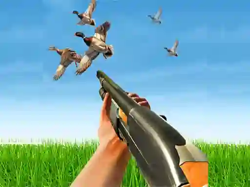 Bird Hunting