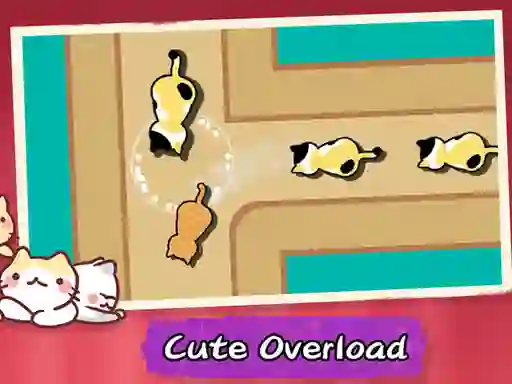 Cat Freeway