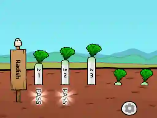Radish