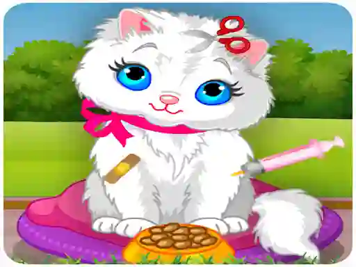 Vet Cat Clinic