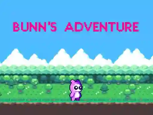 Bunn's Adventure