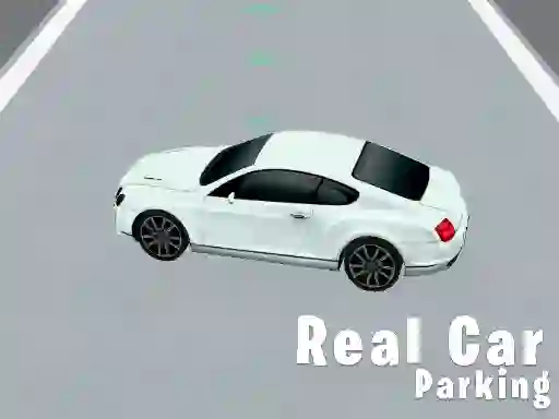 Real Car Parking