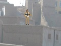 ਸਨਾਈਪਰ ਆਪ੍ਰੇਸ਼ਨ 