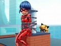 ਕੈਟ Noir ਸੰਕਟਕਾਲੀਨ ladybug 