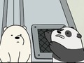 ਬੇਬੀ Bear ਖਜ਼ਾਨਾ null 