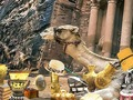 ਪੇਟਰਾ ਦੀ ਖੋਜ ਕਰੋ 
