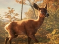 ਸਫਾਰੀ ਜੀਪ ਕਾਰ ਪਾਰਕਿੰਗ ਸਿਮ: ਜੰਗਲ ਸਾਹਸੀ 