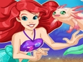 Mermaid ਪਾਲਤੂ ਜਾਨਵਰ ਦੀ ਦੁਕਾਨ 