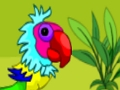 Macaw ਜੋੜੇ ਨੂੰ ਬਚ 