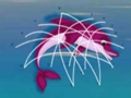 ਡਾਲਫਿਨ ਬਚਾਅ 