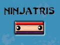ਨਿੰਜਾਤ੍ਰੀ 