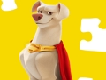 ਡੀਸੀ ਲੀਗ ਆਫ਼ ਸੁਪਰ ਪਾਲਤੂ ਜਿਗਸਾ ਪਹੇਲੀ 