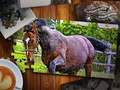 Jigsaw Puzzle Horses ਐਡੀਸ਼ਨ 