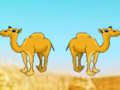 ਮਾਰੂਥਲ ਗੋਲਡ ਰਸ਼ ਮਹਾਨ ਖਜ਼ਾਨਾ ਬਚ 