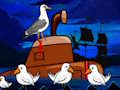 Laridae ਬਚਾਅ 