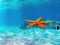 ਅੰਡਰਵਾਟਰ ਸਟਾਰਫਿਸ਼ ਤੋਂ ਬਚੋ 