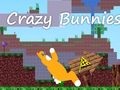 ਪਾਗਲ ਖਰਗੋਸ਼ 