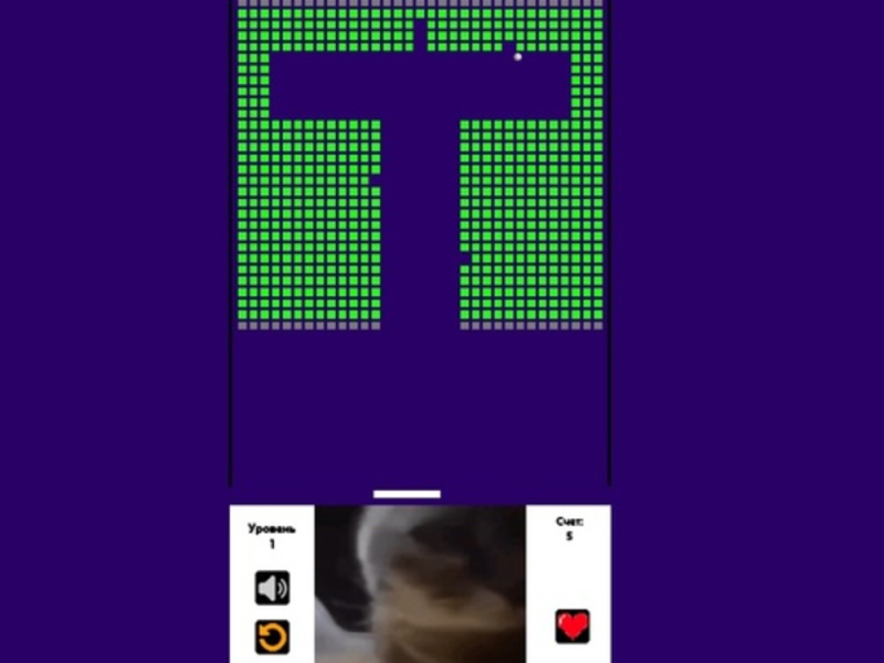 ਇੱਟ ਤੋੜਨ ਵਾਲਾ ਚਿੱਪੀ ਛਿੱਪੀ ਚੱਪਾ ਚੱਪਾ ਬਿੱਲੀ 
