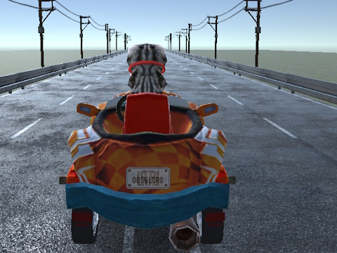 ਚਿਪੀ ਚਿਪੀ ਚਪਾ ਚਪਾ ਨੇ ਹਾਈਵੇਅ ਰੇਸਿੰਗ 