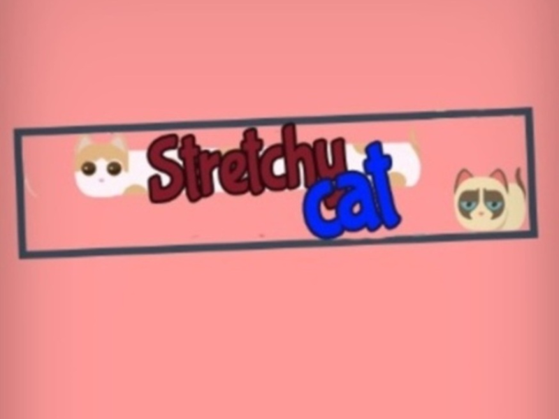 ਸਟ੍ਰੈਚੀ ਬਿੱਲੀ 