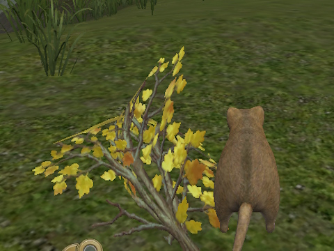ਜੰਗਲ ਮਾ mouse ਸ 