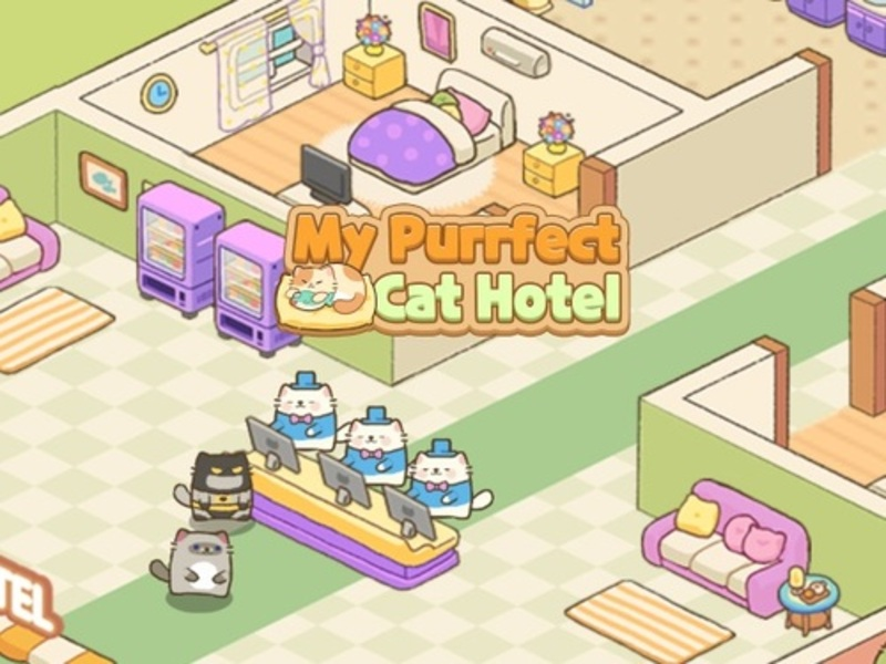 ਮੇਰੀ ਪਥਰਫੈਕਟ ਕੈਟ ਹੋਟਲ