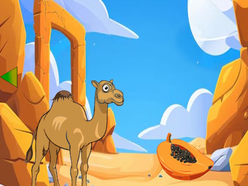 Came ਠ ਉਸਦੀ ਜਵਾਨ ਦੀ ਭਾਲ ਕਰ ਰਿਹਾ ਹੈ
