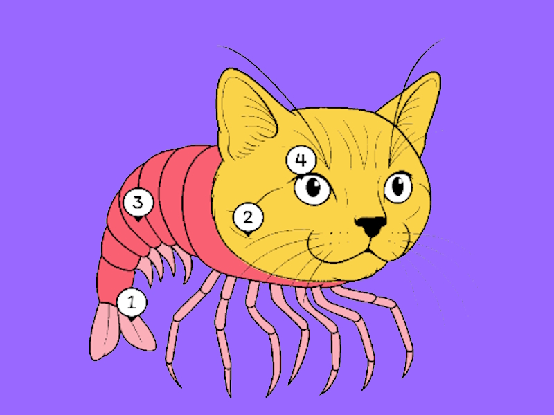 ਦਿਮਾਗ ਦਾ ਰੰਗ ਬੁਝਾਰਤ